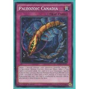 MP17-EN124 Paleozoic Canadia - Common